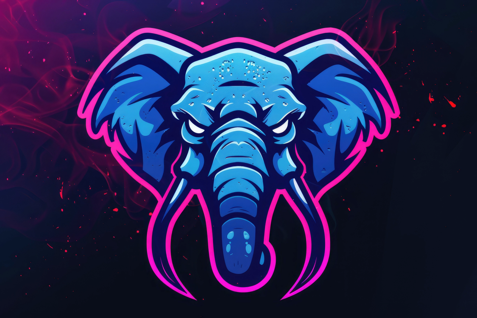 Banner Image